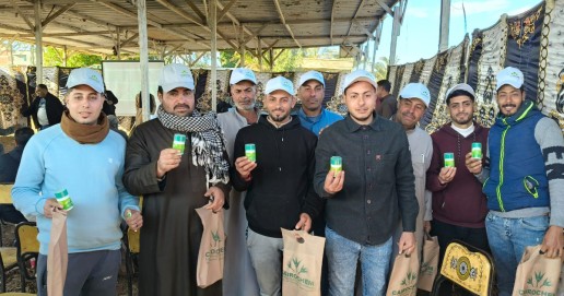 In our gardens  plants for the shade garden